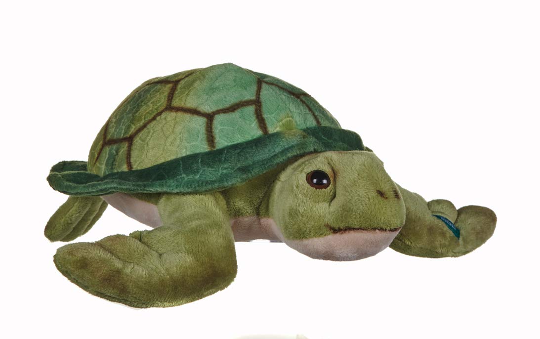 turtle soft toy