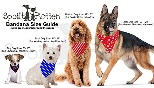 Spoilt Rotten Pets, S4 ‘Werewolf In Training’ Dog Bandana Costume Trick ...