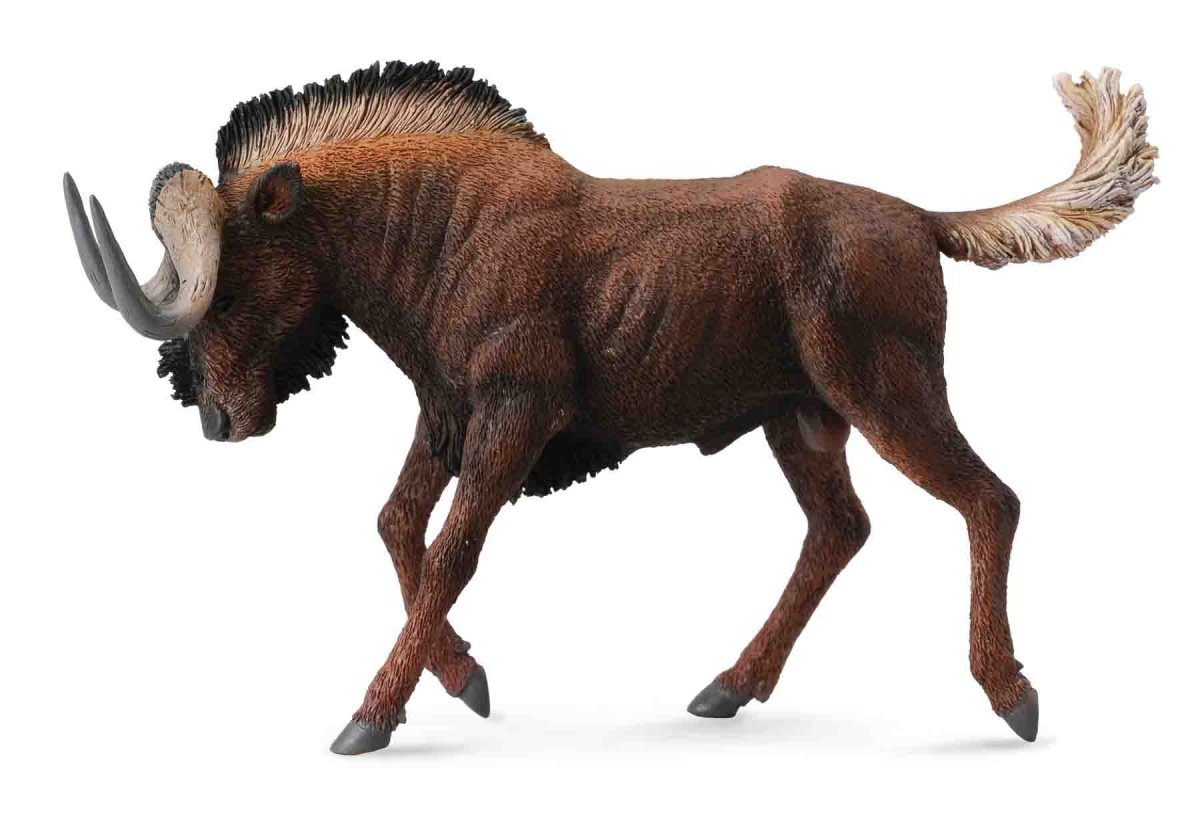 Gnu czarna
