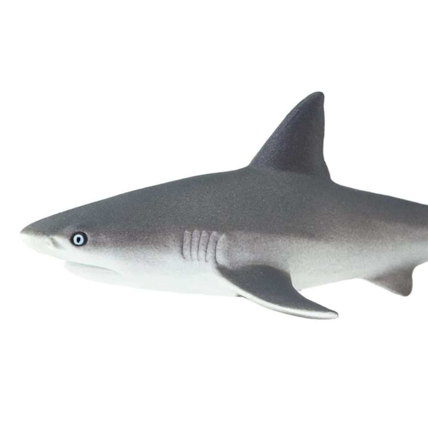 Safari 100099 Sea Life Gray Reef Shark Minature – TopToy