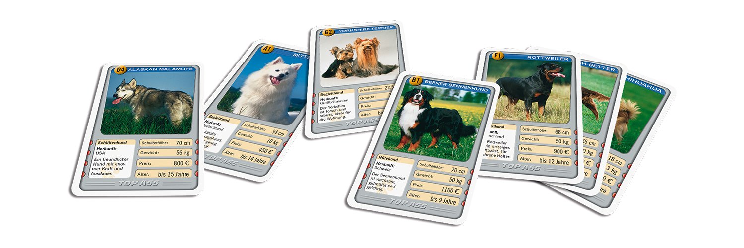 ASS of the Old 22571992 Top Dog Card Game TopToy