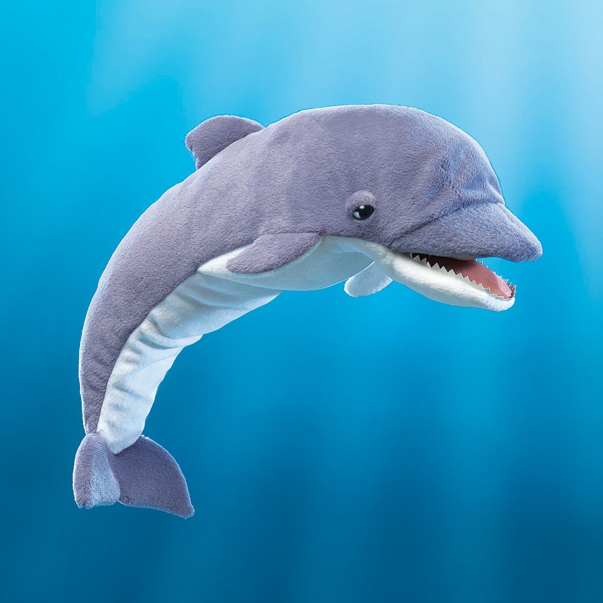 doll dolphin