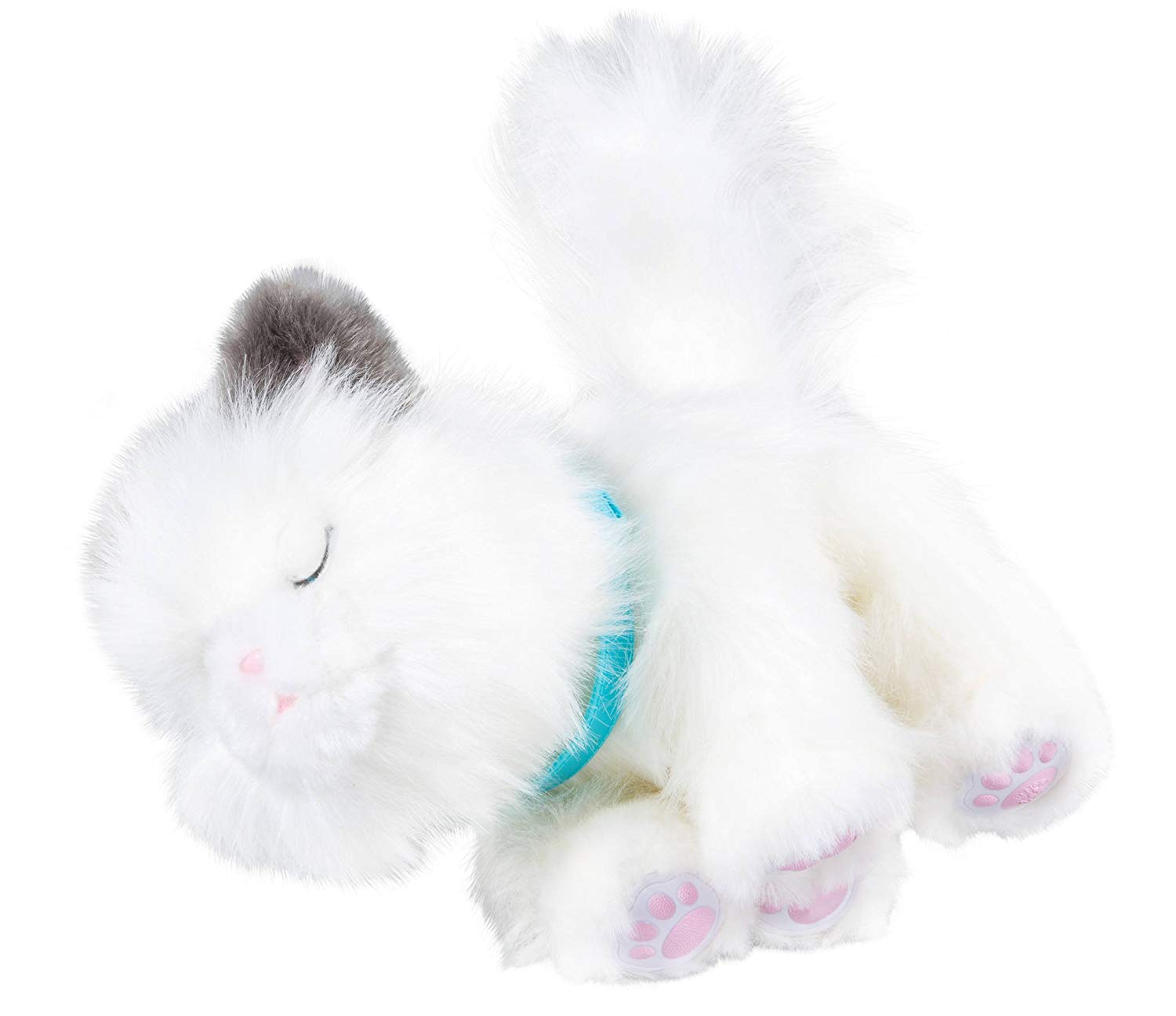 sleepy kitty little live pets