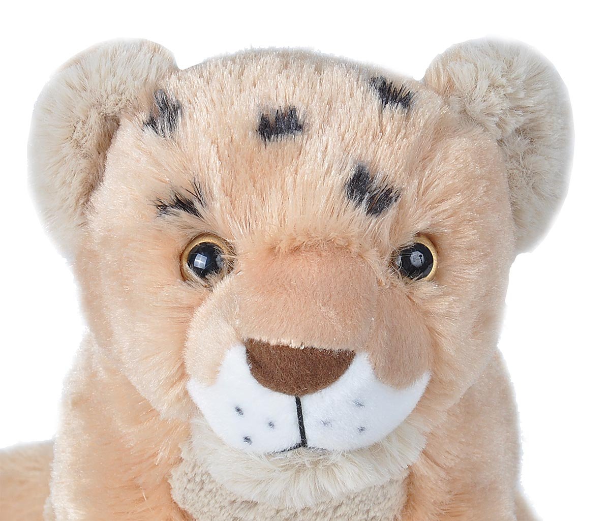 wild republic lion cub