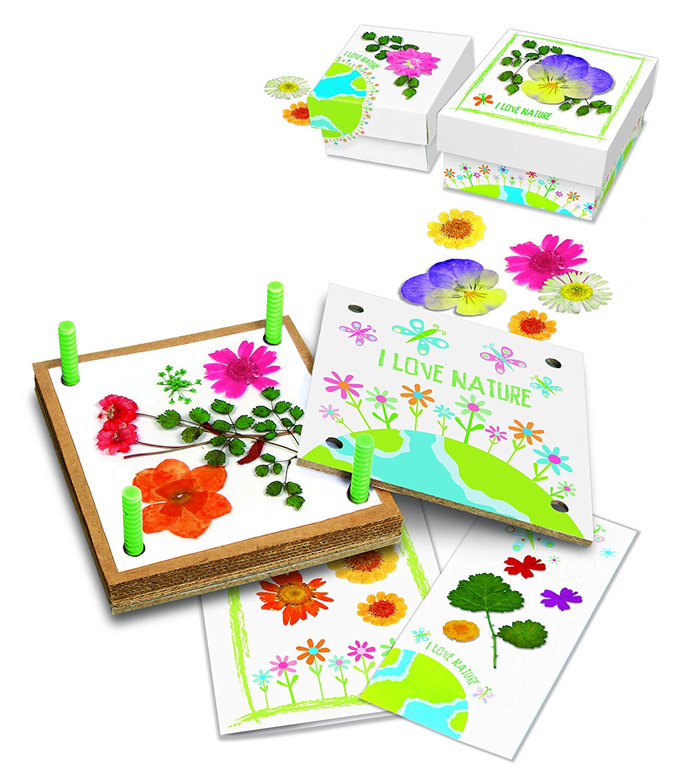 4M Green Creativity Pressed Flower Art - Image 3