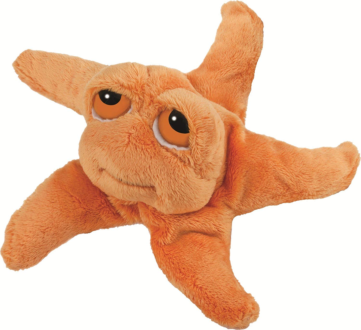 starfish plush toy