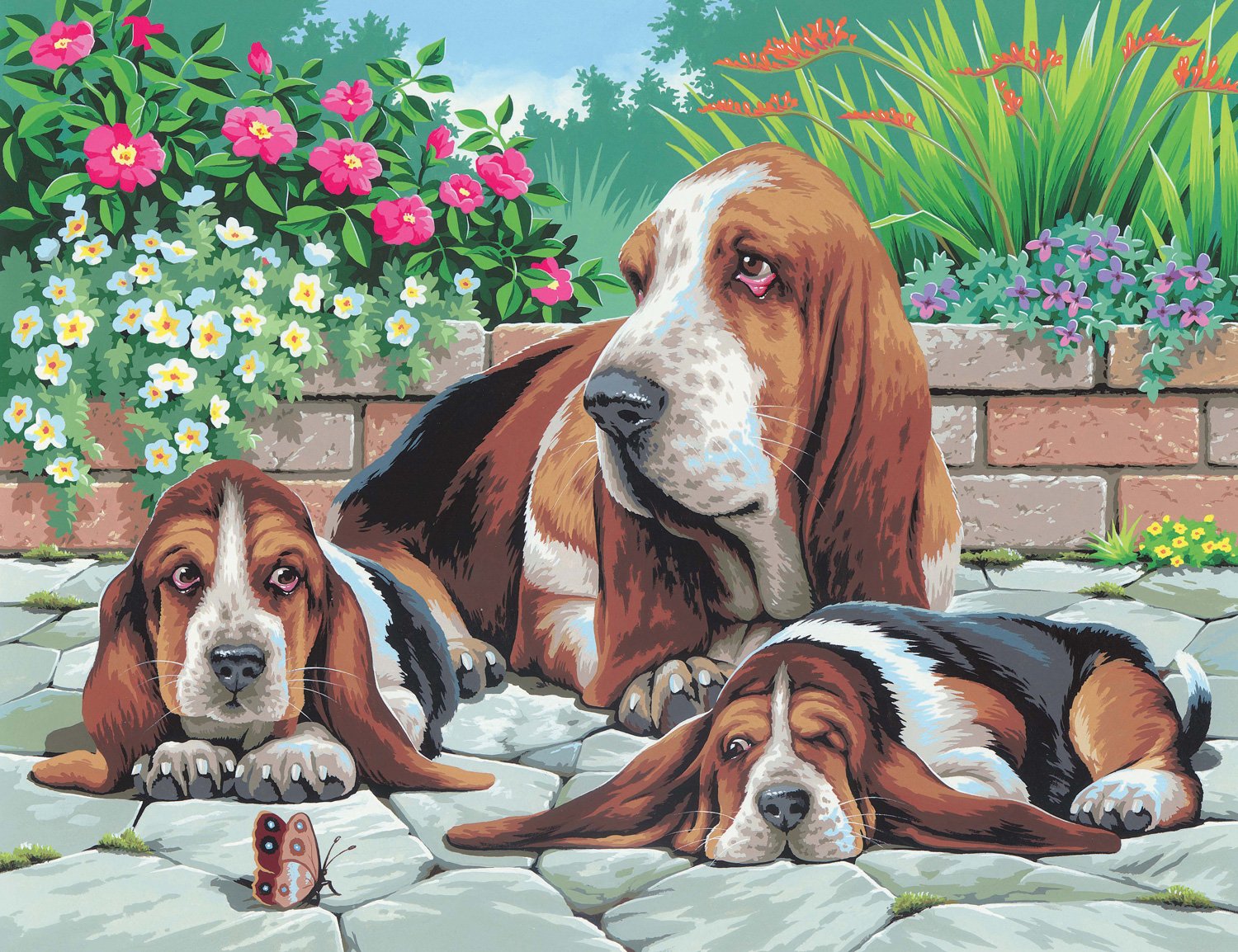 KSG – Basset Hounds Masterpeice Senior Paint by Number – TopToy