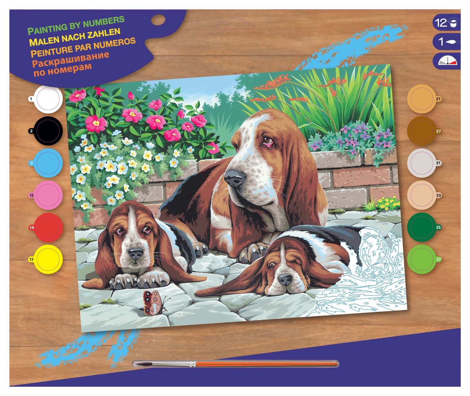 KSG – Basset Hounds Masterpeice Senior Paint by Number – TopToy