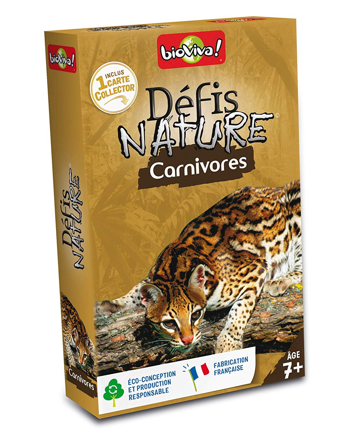 Bioviva 280020 Nature Challenges Animal-Carnivores Card Game, Multi ...