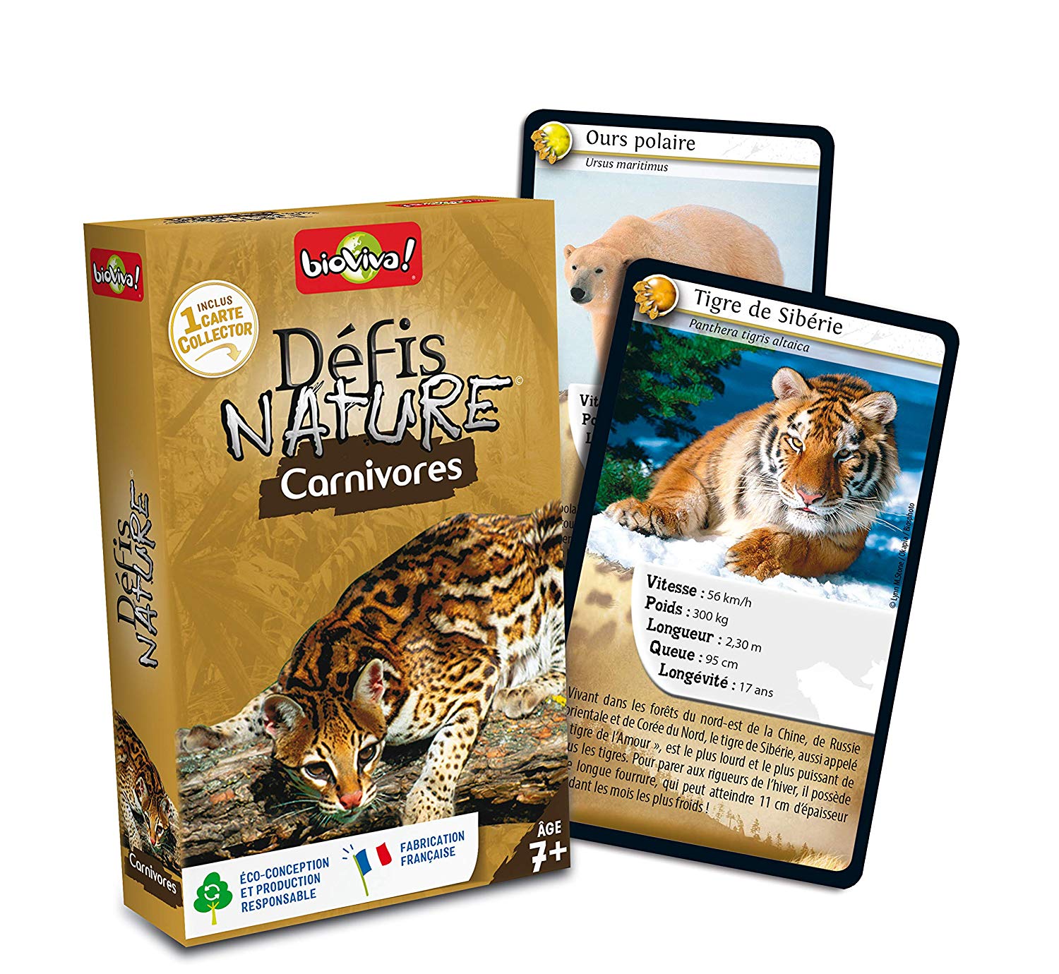 Bioviva 280020 Nature Challenges Animal-Carnivores Card Game, Multi ...