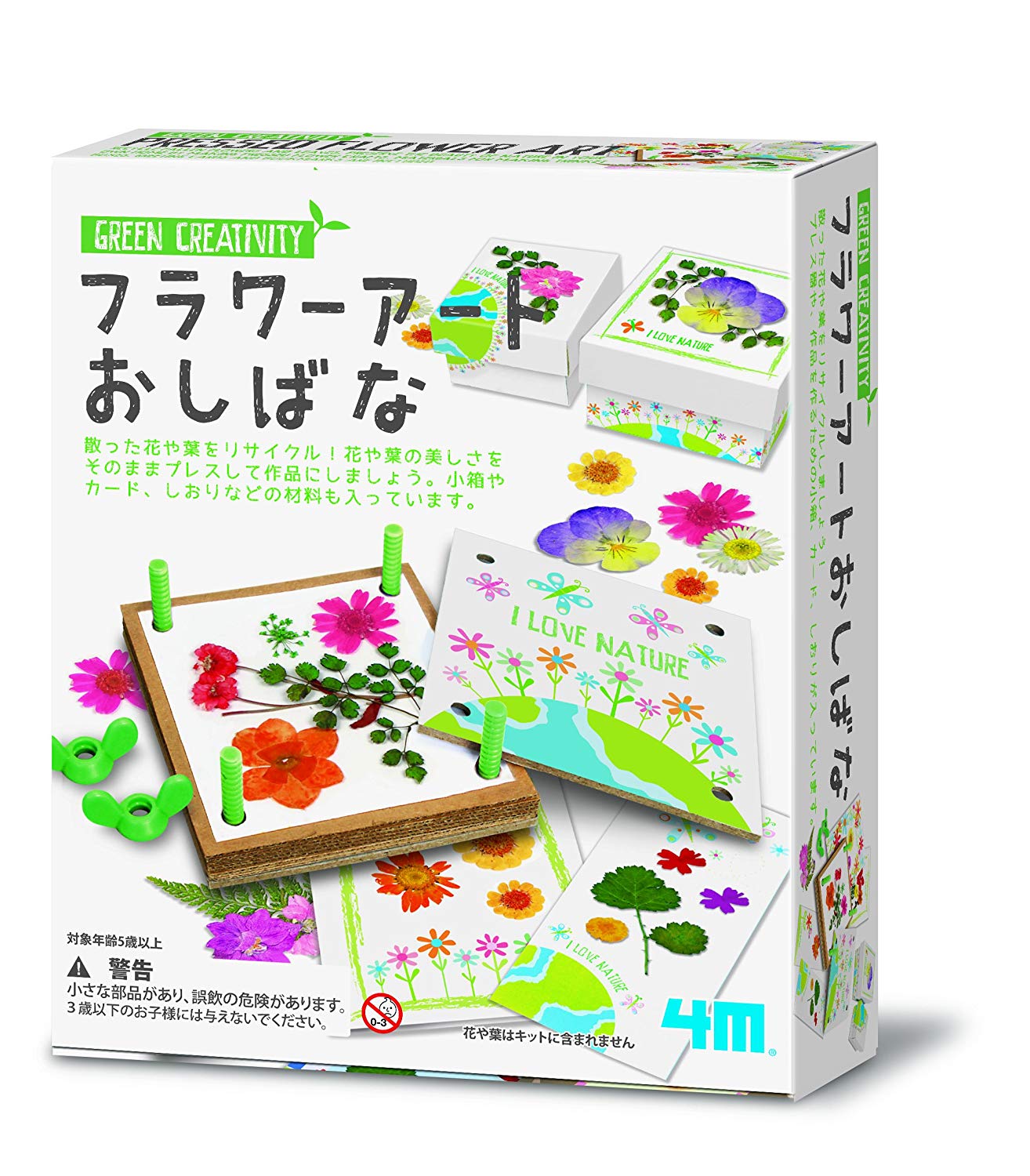 4M Green Creativity Pressed Flower Art - Image 2