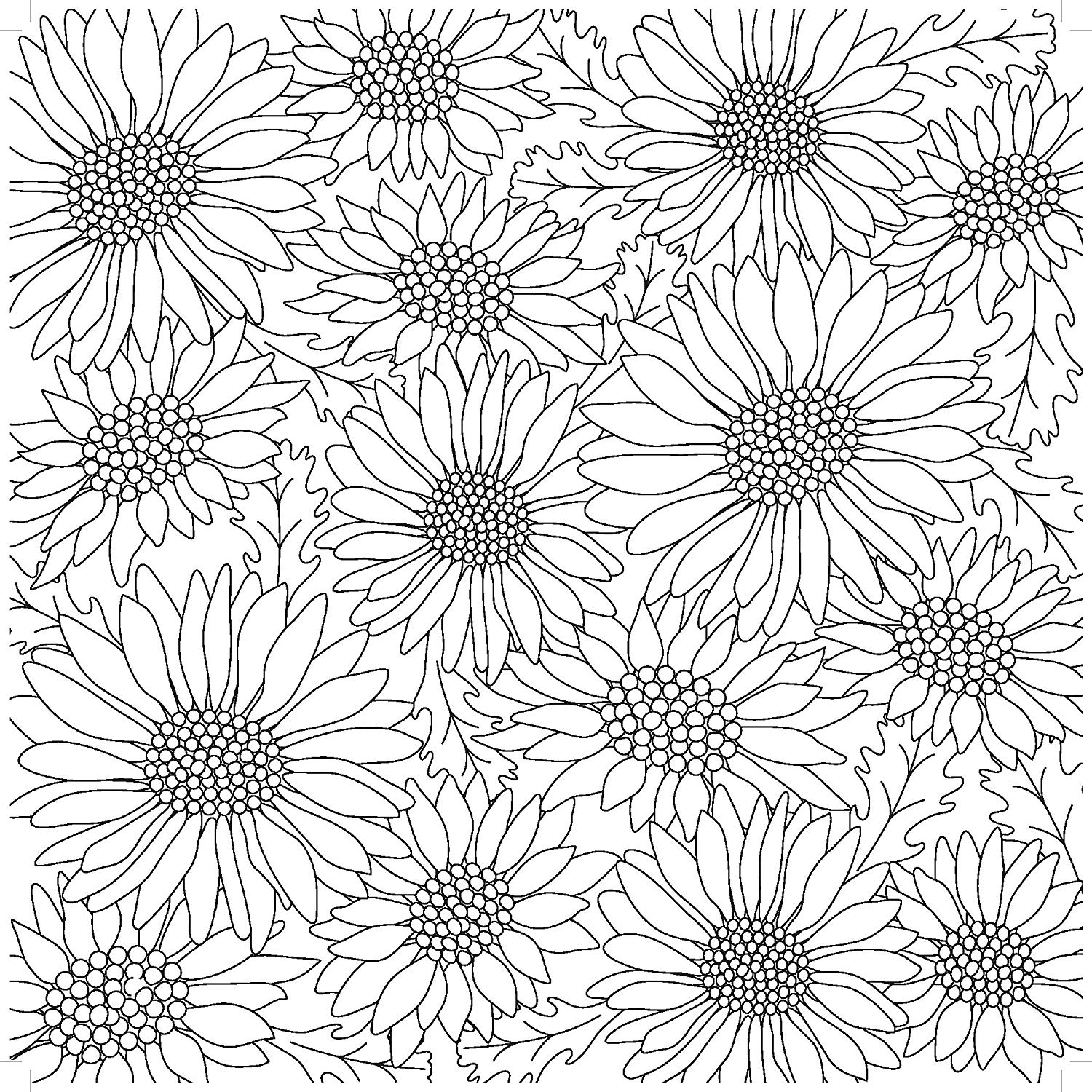 Kaisercraft KaiserColour Perfect Bound Coloring BookEver Bloom, Other