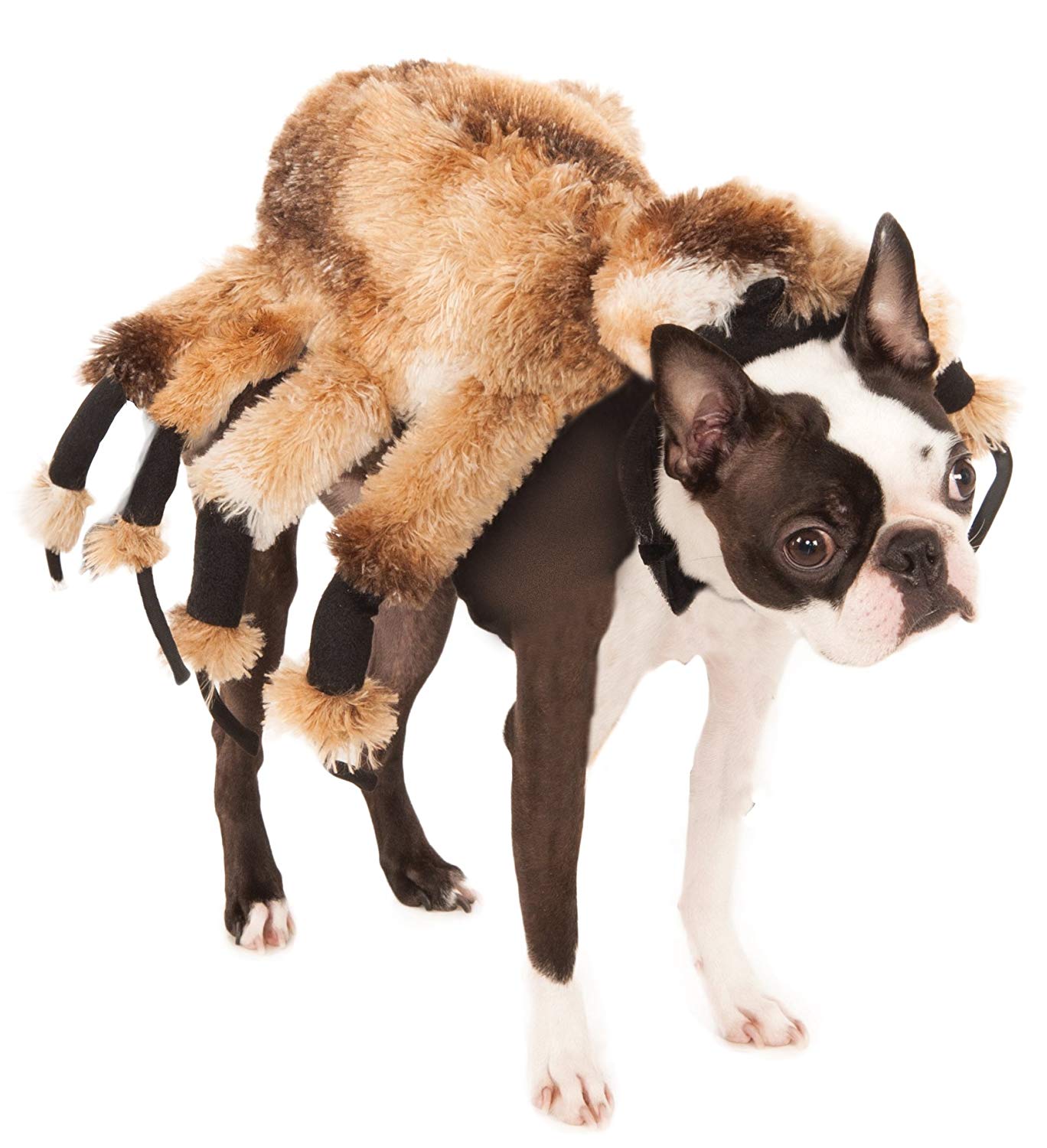 Official Rubie’s Giant Spider Pet Dog Halloween Costume, Size Small