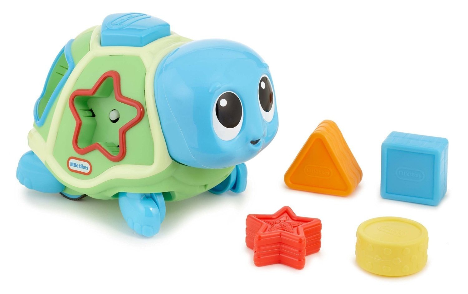 pop up turtle toy