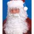 Professional Quality white Santa Claus Father Christmas wig, beard and eyebrow set