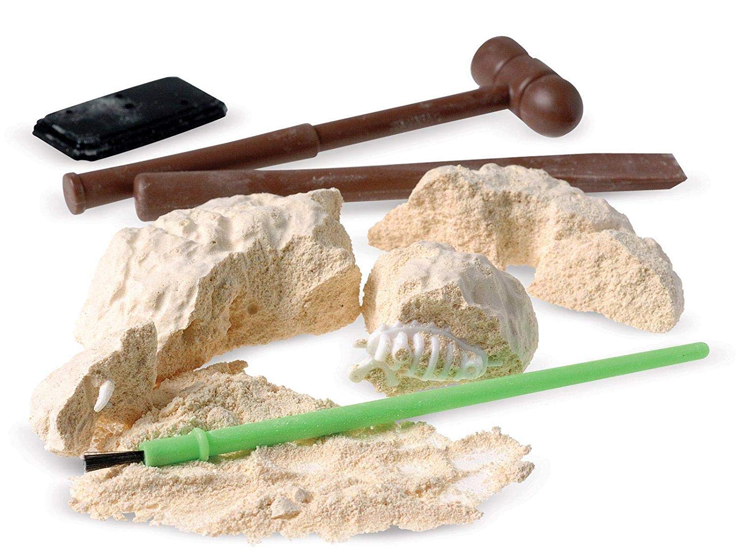 real fossil digging kit