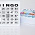 DiPrint 200 large printed Bingo cards for seniors system 24 from 75