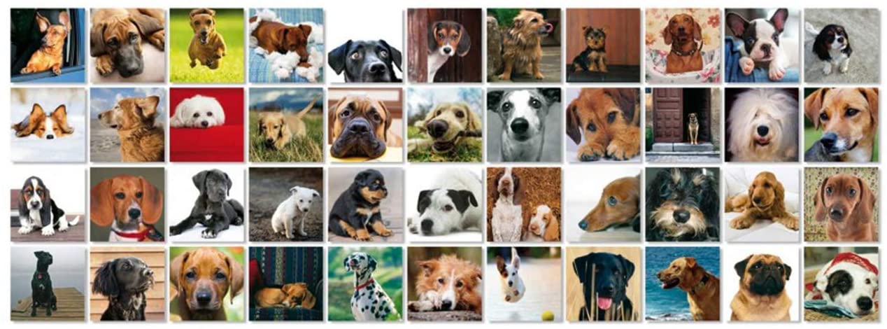 Remember 44 Dogs memory game, for dog lovers, 15.8 x 21.6 x 7.5 cm - Image 2