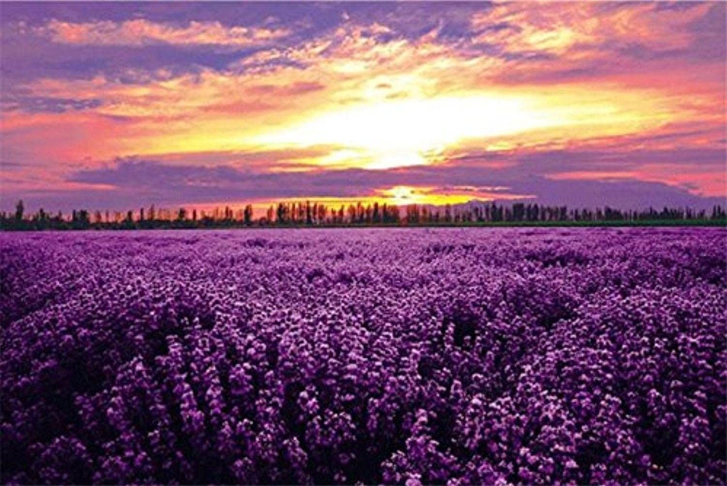 Lavender Flowers Adults Kids Puzzles Landscape Series 1000Piece Large Puzzle 