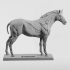 3dtotal Anatomy: Equine figure