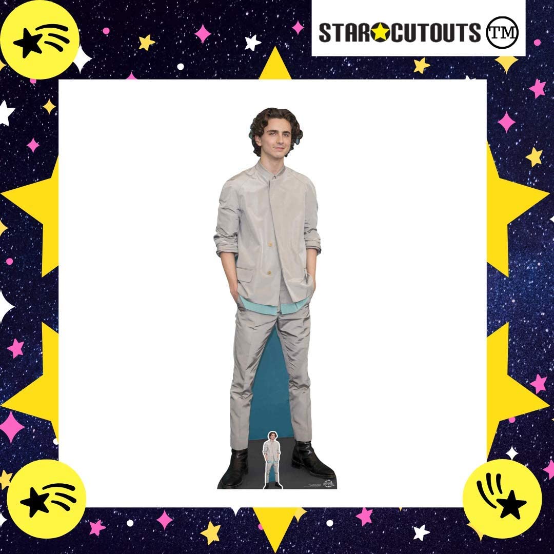 Timothee Chalamet Grey Outfit Lifesize Cardboard Cutout / Standee