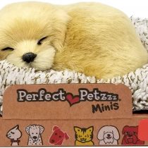 Adorable Mini Golden Retriever cm.14 Puppy That barking!