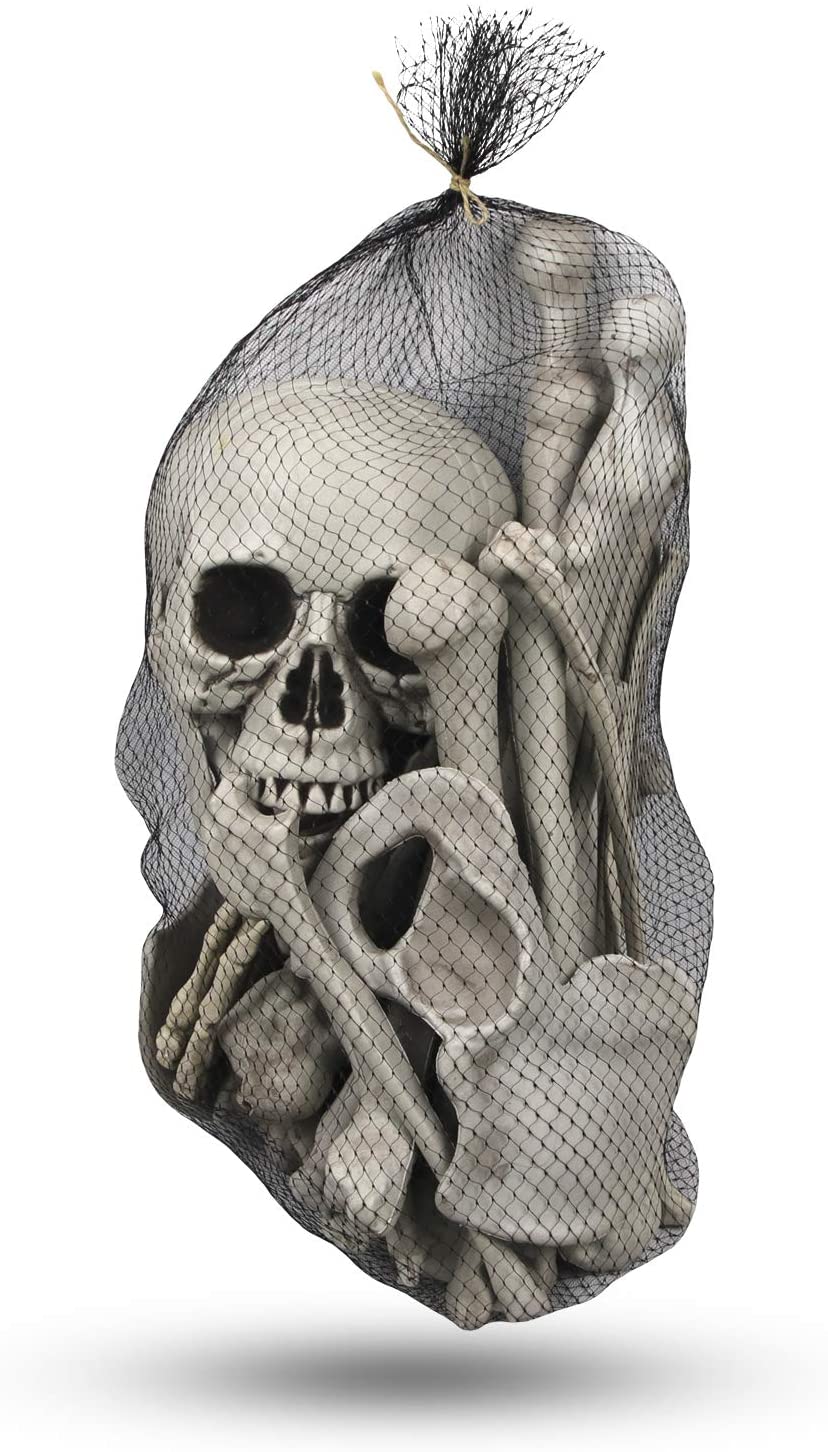 molezu Bag of Skeleton Bones,ABS Plastic Life Size 28 Pieces Set ...