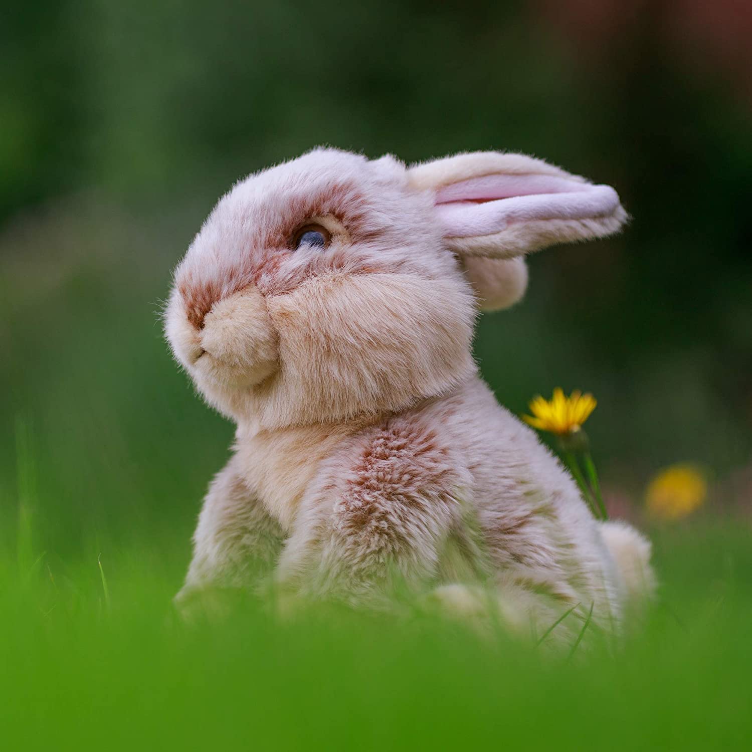 Animigos World of Nature 28cm Plush European Rabbit Soft Toy - Image 2