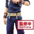 My Hero Academia Shoto Todoroki
