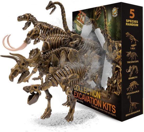 build dinosaur kit