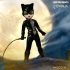 LDD Presents DC Universe Catwoman Doll