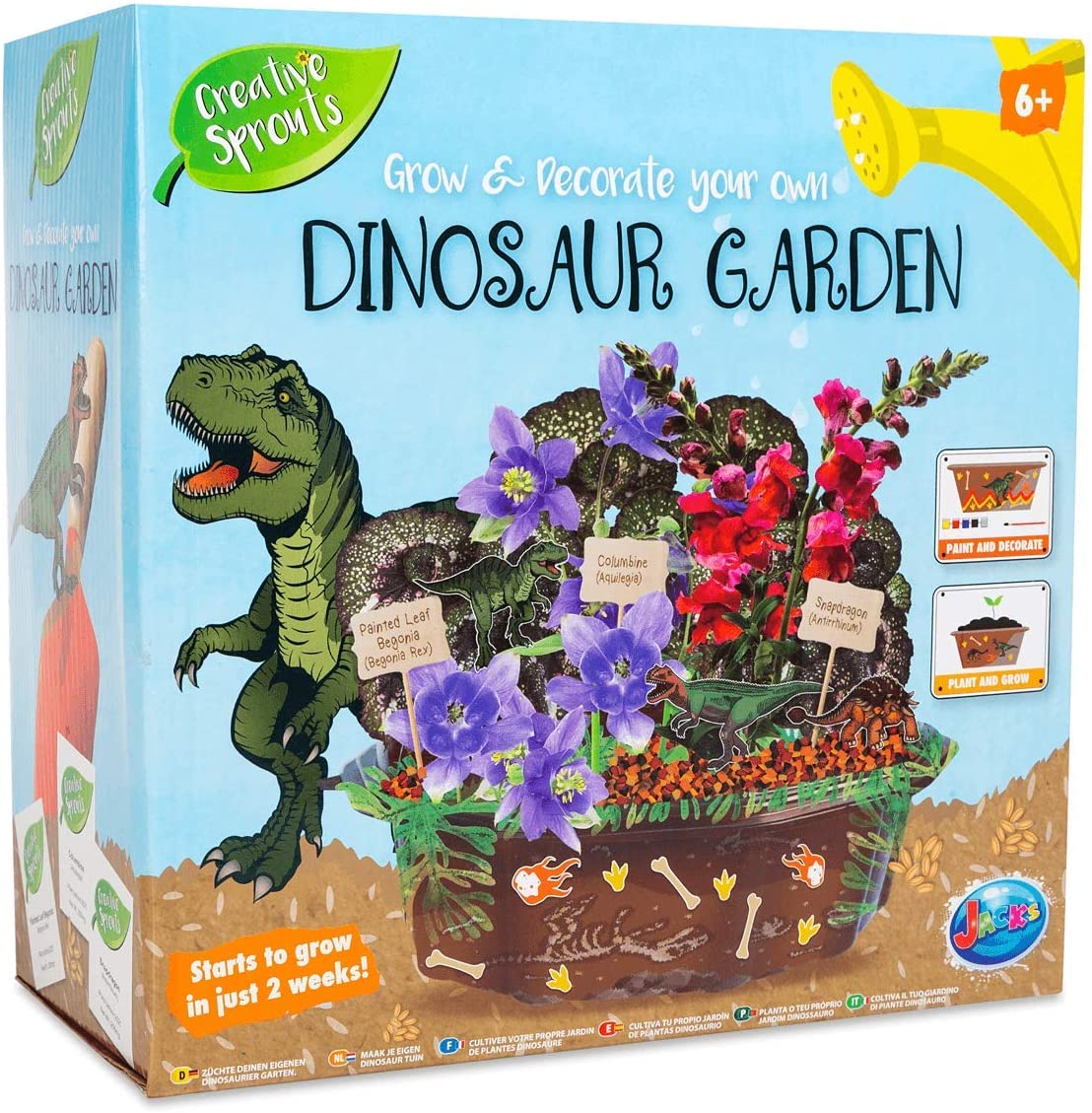 RMS Grow and Decorate Your Own Dinosaur Garden TopToy