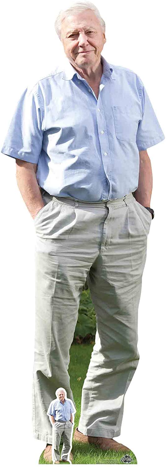 Star Cutouts Ltd CS774 David Attenborough Lifesized Cardboard Cutout with Free Table Top Height 178cm, Multicolour
