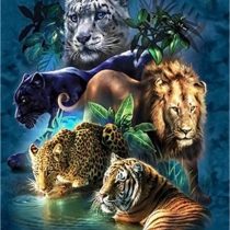 YEESAM ART Paint by Numbers for Adults Beginner, Lion Tiger Leopard Forest Animals 16x20 Inch Linen Canvas Acrylic DIY Number Painting Kits for Home Wall Decor (Animals, Without Frame)