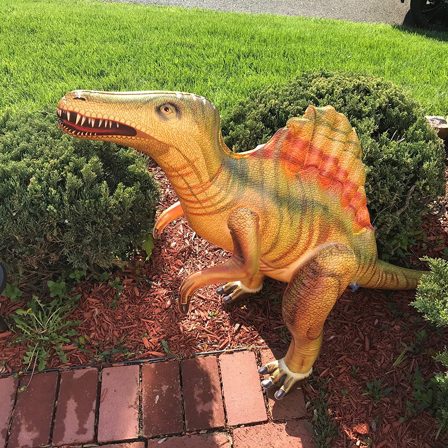 dinosaur pool toys