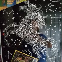 Colorvelvet - Painting 35 x 47 in velvet to color - Unicorn Constellations - L121