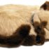 Perfect Petzzz The Original Breathing Pet Siamese Kitten New Huggable Soft Version Plush Toy Gift Bundle