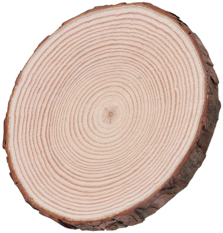 RDEXP 14cm16cm Dia Natural Pine Wood Unfinished Round Discs Tree Bark