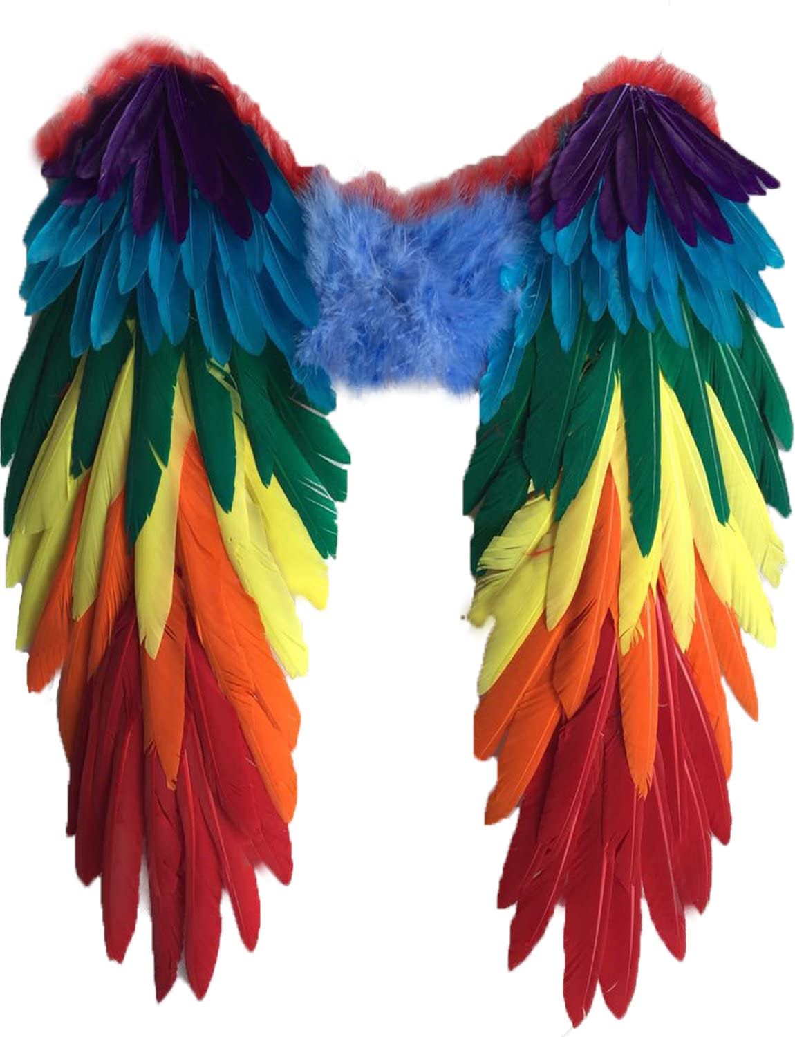 Yummy Bee - Rainbow Wings - Parrot Wings Real Feather Wings Multi Colour - Gay Pride Wings - Fancy Dress Halloween Costume Party - Adult Large 48cm x 50cm Deluxe