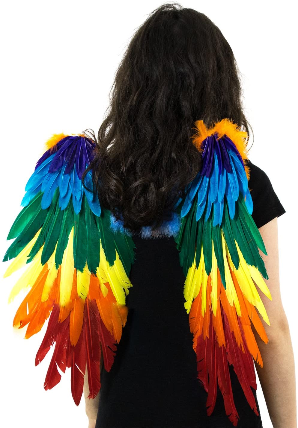 Yummy Bee - Rainbow Wings - Parrot Wings Real Feather Wings Multi Colour - Gay Pride Wings - Fancy Dress Halloween Costume Party - Adult Large 48cm x 50cm Deluxe - Image 2