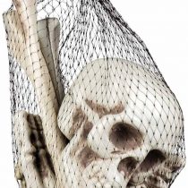 Boland 72157 Skull and Bone Set, One Size