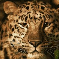 YEESAM ART Paint by Numbers for Adults, Leopard Animal 16x20 inch DIY Painting Kits for Home Wall Decor (Leopard, Without Frame)