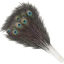 Trimming Shop Real Peacock Feather 27 inches &ndash; 31 inches Bird Tail Colourful Feathers Pack for Wedding Christmas Party Centerpiece Decoration, DIY Art & Craft, 10pcs