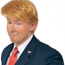 Forum Novelties Mr. Billionaire (Donald Trump) Costume Wig Adult