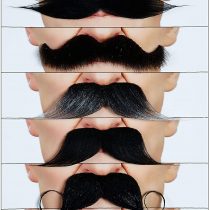 Mustaches Fake Mustache, Self Adhesive, Novelty, False Facial Hair Value Pack (6pcs.)