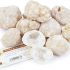 Break Your Own Geodes - Pack of 10