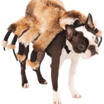 Rubie's 580358M Official Giant Spider Pet Dog Halloween Costume, Brown, Medium (Neck to Tail 15 Inch, Chest 17 Inch)
