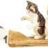Schleich Kitten