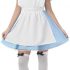 Womens Traditional Alice Costume Adults Fairytale Blue Character Dress