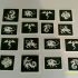 30 x dragon stencils for glitter tattoos / airbrush tattoos / henna / cakes / many other uses